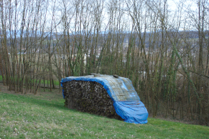 woodpile